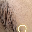 강남-295 | 강남 무통 반영구 눈썹 문신 후기 : 투엠 메이크업 (Feat.24년 경력 대표 원장 직접 시술)