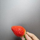 자연농원 옥길 럭키점 이미지