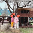 아빠의 캠프 | 대구 근교 아이와 청도 여행 ☆ 청도 아빠의 캠프 1박 2일 즐기기