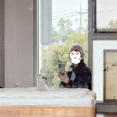 함덕풀빌라펜션람보르기니 | 제주 애견 독채 펜션 누운 반려견 동반 숙소 조천 제주도 동쪽 풀빌라 추천