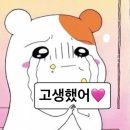 가정초등학교 정문 이미지