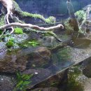 양평곤충박물관 이미지