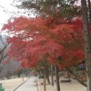 세천강변 이미지