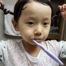강동숲유치원 Daum카페