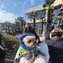 내고향생고기 | 함평 키친 205 주말 두쫀쿠 웨이팅 후기 ,딸기케이크 생고기비빔밥