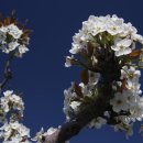 청해아구찜 이미지