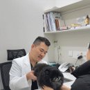 초이스외과동물병원 이미지