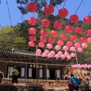 청량산의 봄 이미지