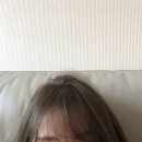 헤어온실 - 천안시 서북구 공원로 120 | 헤어온실