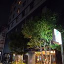 도톤보리 | 웰리나 호텔 도톤보리 숙소 내돈내산 후기