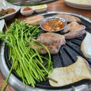 손수짜기 | 청도소고기맛집 백운숯불갈비 한우 마블링에 반하고 루지 레일바이크 10분 컷 관광 코스까지 완벽했던 후기