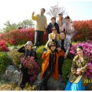 평택호예술관 이미지