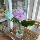 동백미장원 이미지