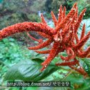 한민농장 이미지