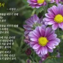 엘림노인복지센터 이미지