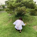 짱한분식 네이버블로그