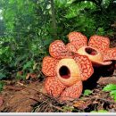 우림메디칼 이미지