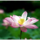 오늘하루가 이미지