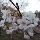 꽃잎펜션 이미지