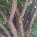 소랭이 마을 이미지