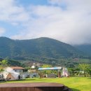 해울림영농조합법인 이미지