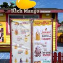 리치망고월정점 | 제주도 제주 애월해안로 카페 망고 쉐이크 맛집 리치망고 Rich Mango 애월본점