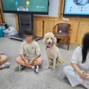 전주효정중학교 이미지