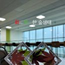 캐칭덕 오락실 부평점 | 5月 [부제: 사실상 민채블로그😋]