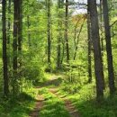 신록1로 이미지