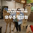 와우쥬 양산점 이미지