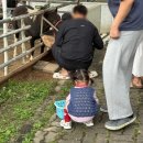 돌속농장 | 파주 우농 타조농장 두돌 아기랑 다녀온 후기 (먹이체험 가능 체험농장)