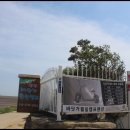 대부도 바닷가펜션 이미지