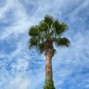 미수 해양공원 이미지