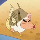 성림복어 이미지