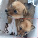 창오초등학교 이미지