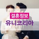 참한 결혼정보 이미지
