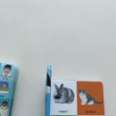 pet55더3879 | 동방북스 창고개방 세일 | 잘 보는 유아 영어책 추천 (16~21개월)