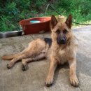 오지농장 이미지