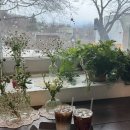 소풍 | 양평카페추천｜두물머리 근처 두쫀쿠 파는 카페 소풍 후기