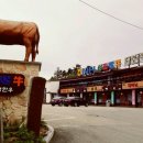 대관령한우타운 이미지