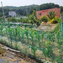 울타리공인중개사사무소 이미지