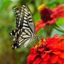 대대2리 마을회관 이미지