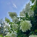 가든테라피펜션 이미지