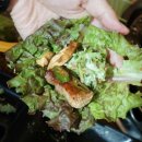 육화구이 이미지