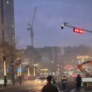 근원목장 | [주간일기]2월끝. 3월 시작부터 연휴라 땡큐.