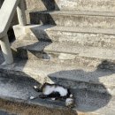 우주주택 이미지