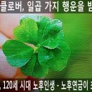 로또구영편의점 네이버블로그