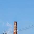 안국역 맛집 비언유주얼 TV 속 맛집 후기(Ft.식스센스)