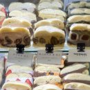 후와후와 이미지