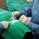 휴먼치과의원 이미지